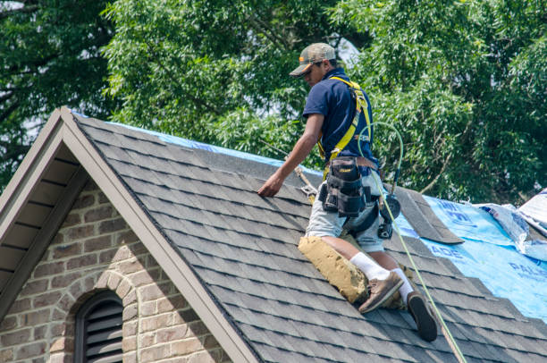 Best Roof Restoration Services  in Leonia, NJ