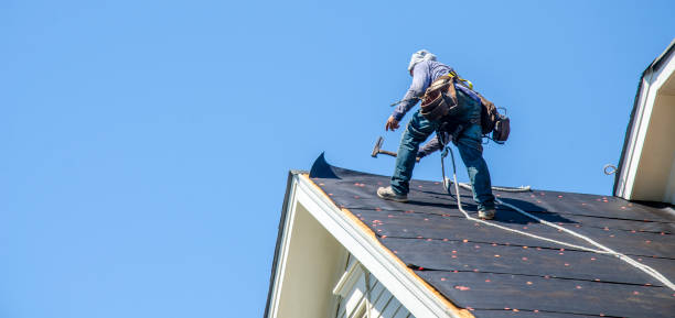 Best Roof Inspection Near Me  in Leonia, NJ